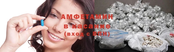 шишки Дмитров