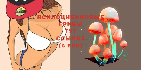 mix Дмитровск