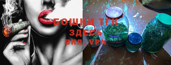шишки Дмитров