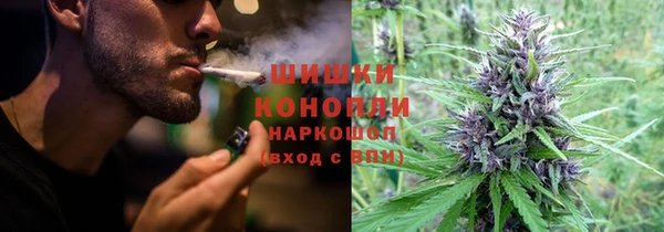 шишки Дмитров