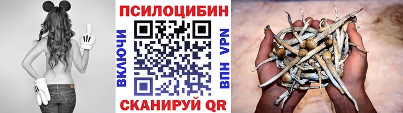 Псилоцибиновые грибы Magic Shrooms  Заволжье 